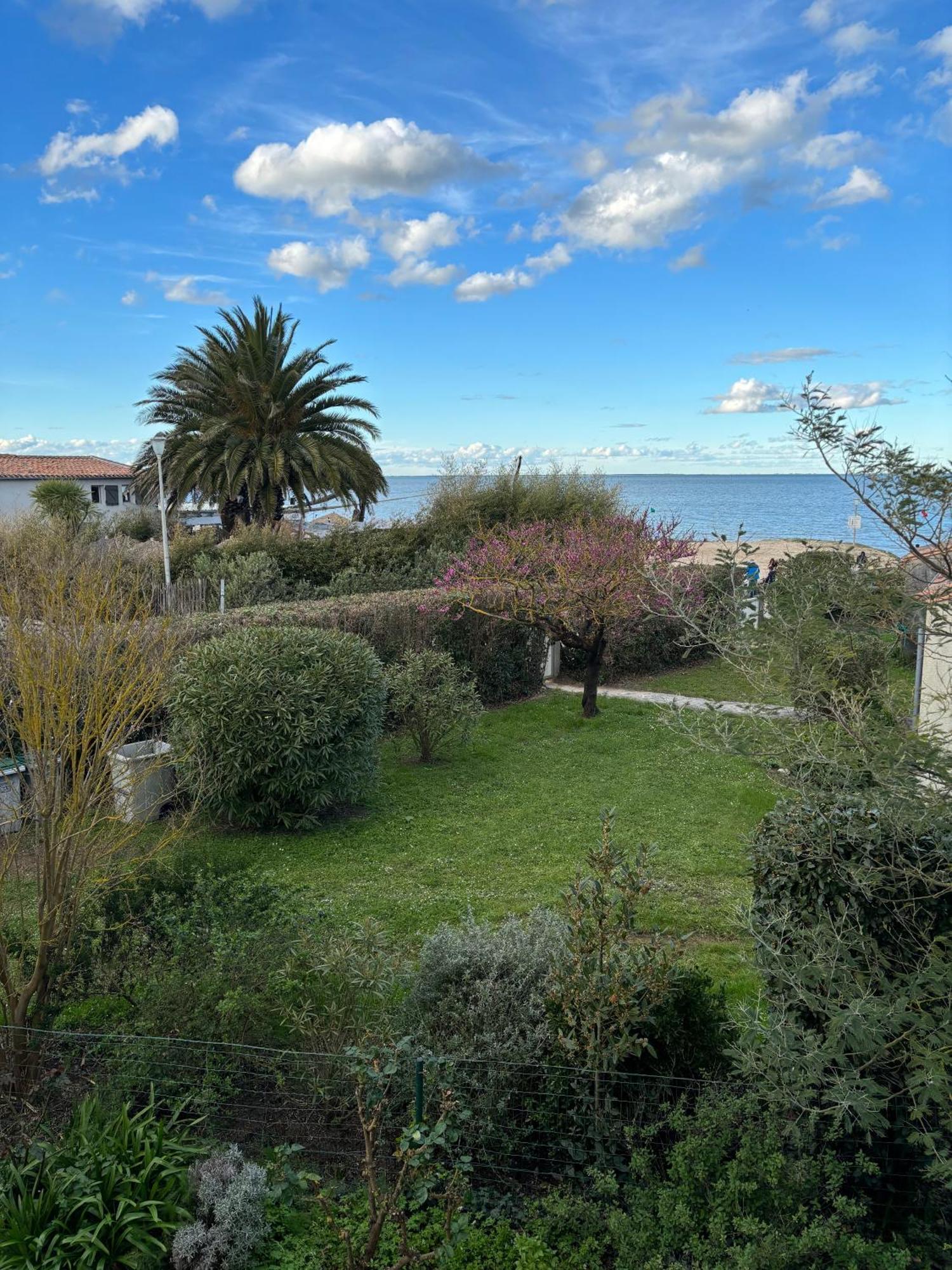 Villa De La Cible Saint-Martin-de-Ré 외부 사진
